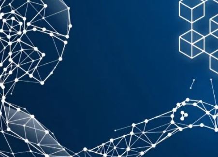 TP钱包被盗可以报警吗？有用吗？